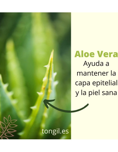 JUGO-ALOE-VERA-ECO-1L.jpg