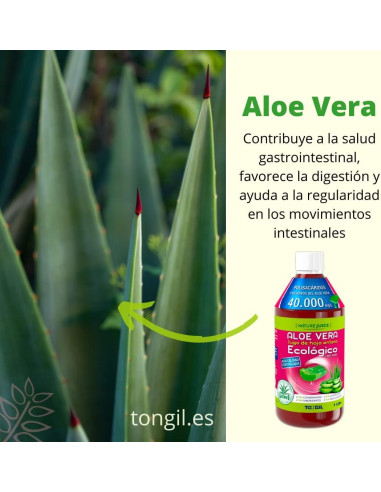 JUGO-ALOE-VERA-ECO-1L.jpg