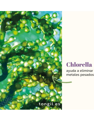 NIVELHEPA-40-caps.jpg