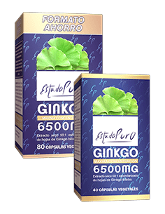 gingko.png