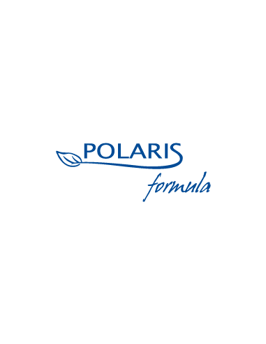 polaris logo.jpg