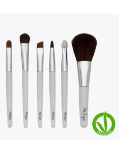 SET-6-BROCHAS-PROFESIONALES.jpg
