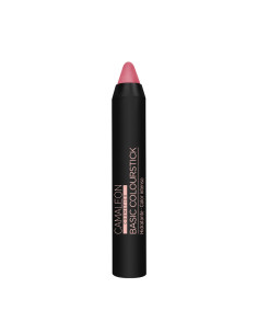 pintalabios-nude-rosa-claro-basic-colourstick.jpg