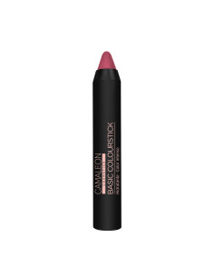 pintalabios-nude-rosa-oscuro-basic-colourstick.jpg