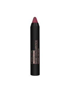 pintalabios-nude-marron-basic-colourstick.jpg