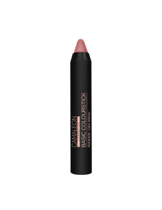 pintalabios-nude-beige-basic-colourstick.jpg