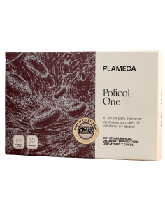 pm318-policol-one(conflicted-copy-2026-08-12-from-clara).png