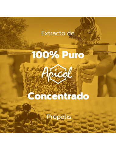 APICOL-EXTRACTO-PROPOLIS-60-ml.jpg