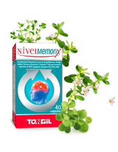 NIVELMEMORIX-40-caps.jpg