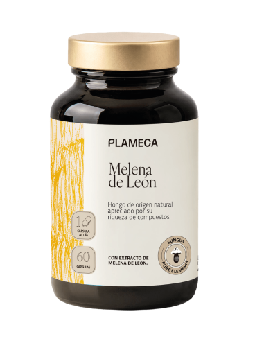 melena de león.png