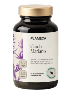 cardo mariano plameca.png