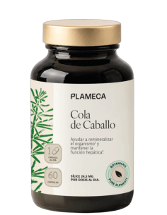 cola de caballo plameca.png
