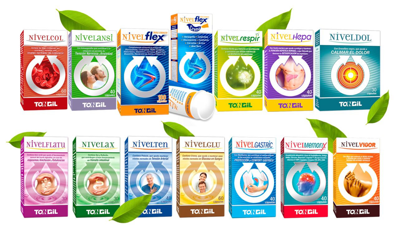 NIVELES/TONGIL